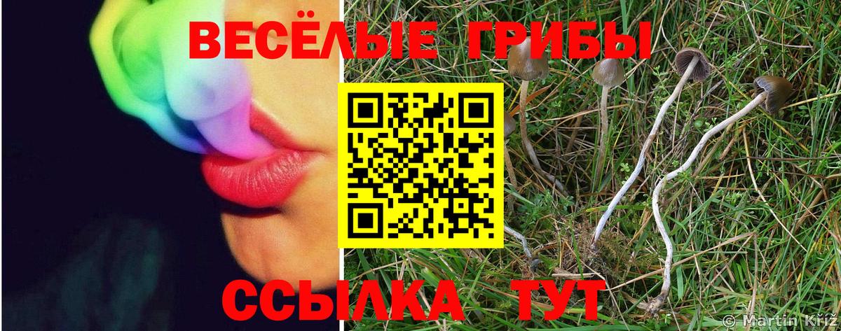 Галлюциногенные грибы Magic Shrooms  Вход с VPN  Галлюциногенные грибы ЛСД  дарнет шоп  Черняховск 