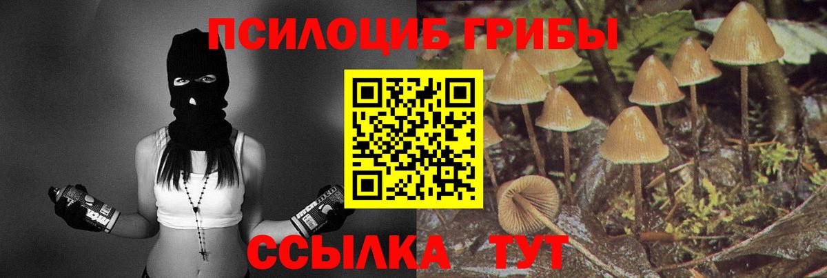 Галлюциногенные грибы прущие грибы Черняховск